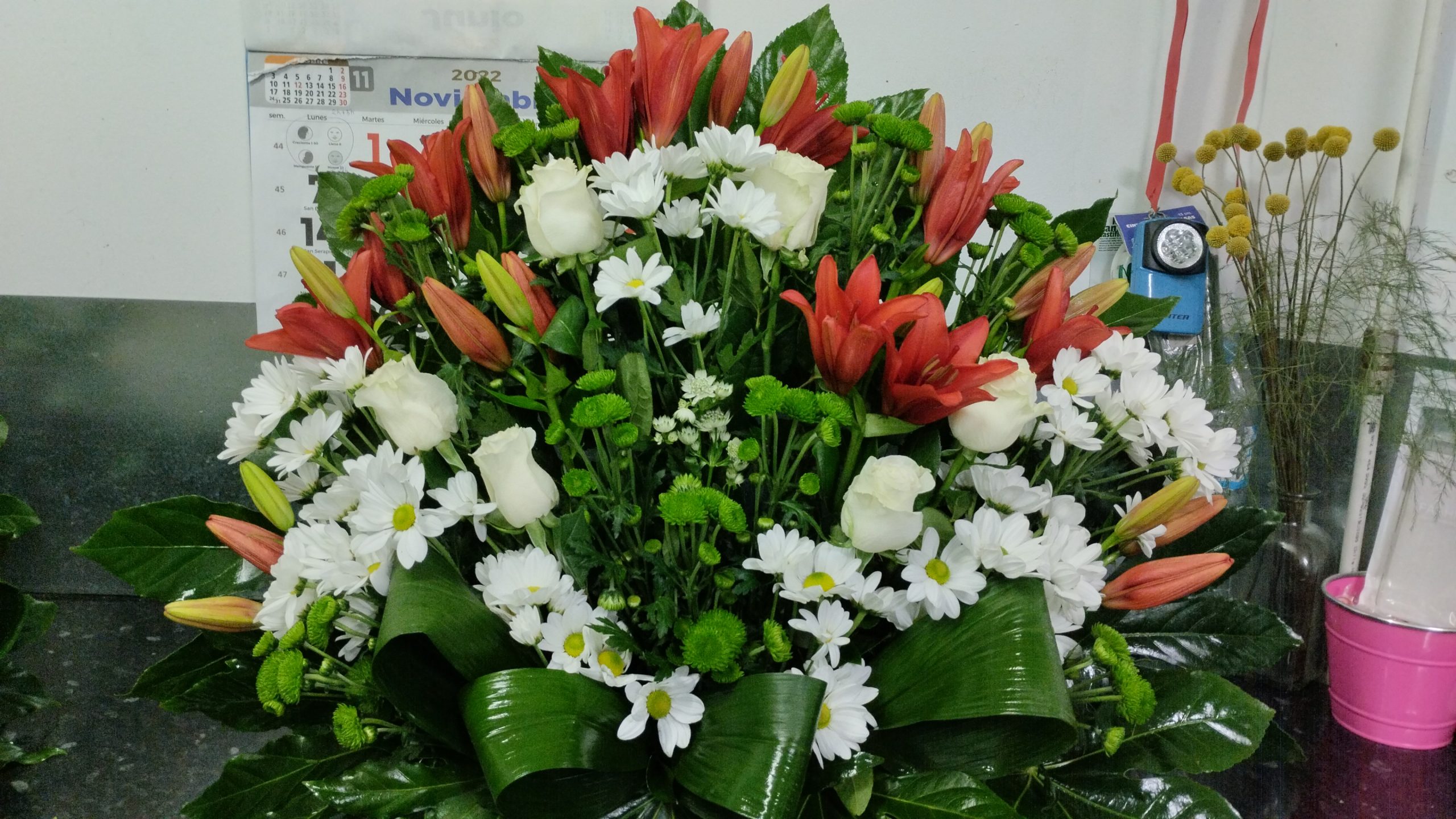IMG-20221207-WA0039